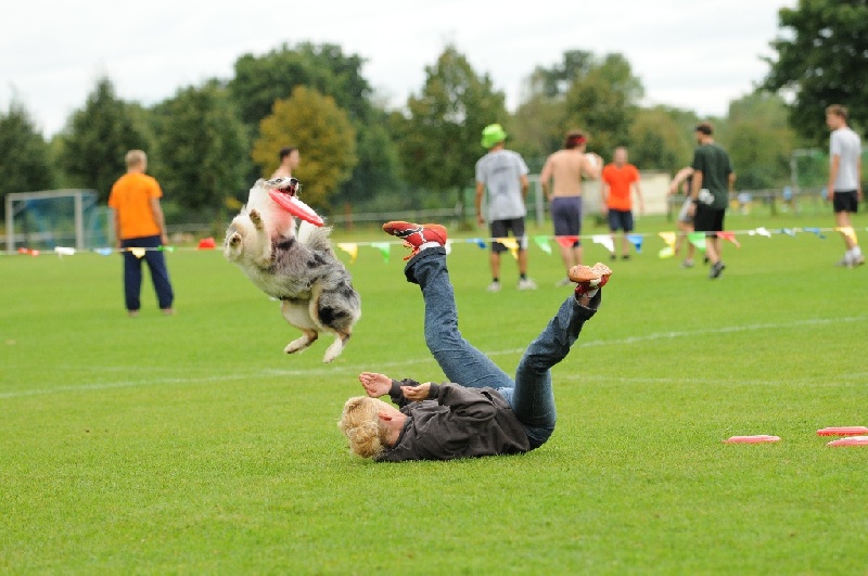 Image 362 of 855  -  221 kB