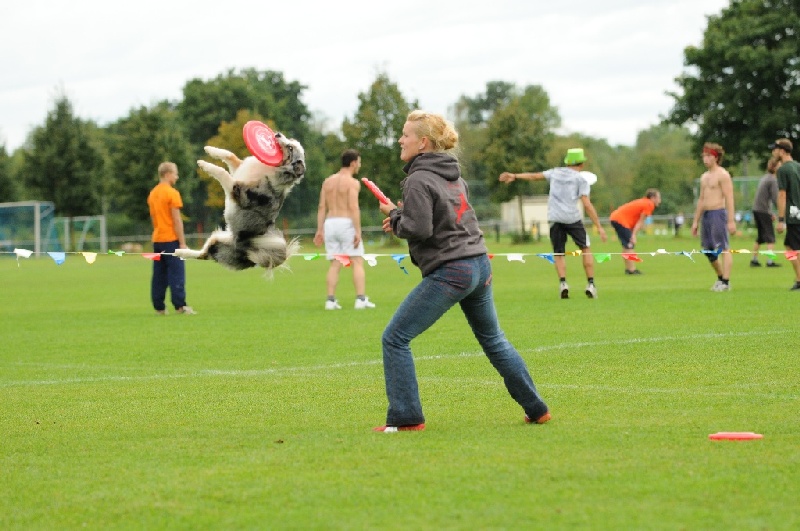 Image 363 of 855  -  219 kB