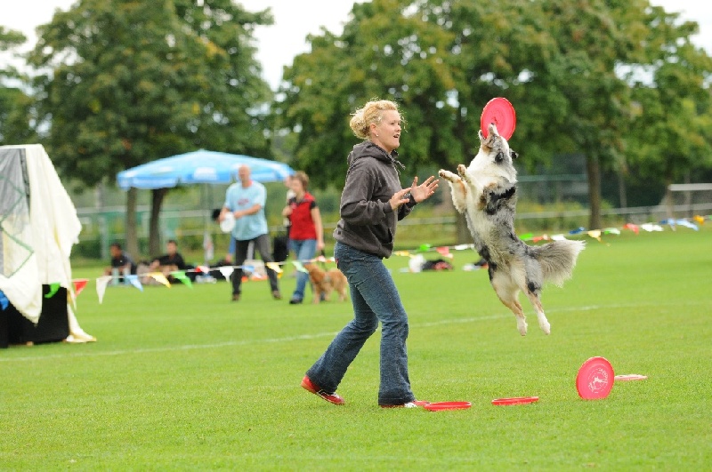 Image 364 of 855  -  245 kB