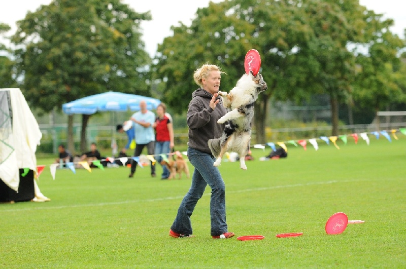 Image 365 of 855  -  238 kB