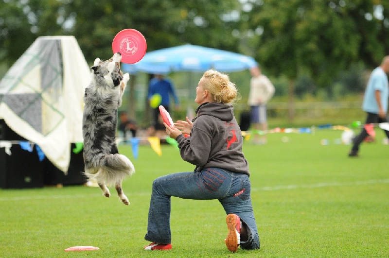 Image 366 of 855  -  220 kB