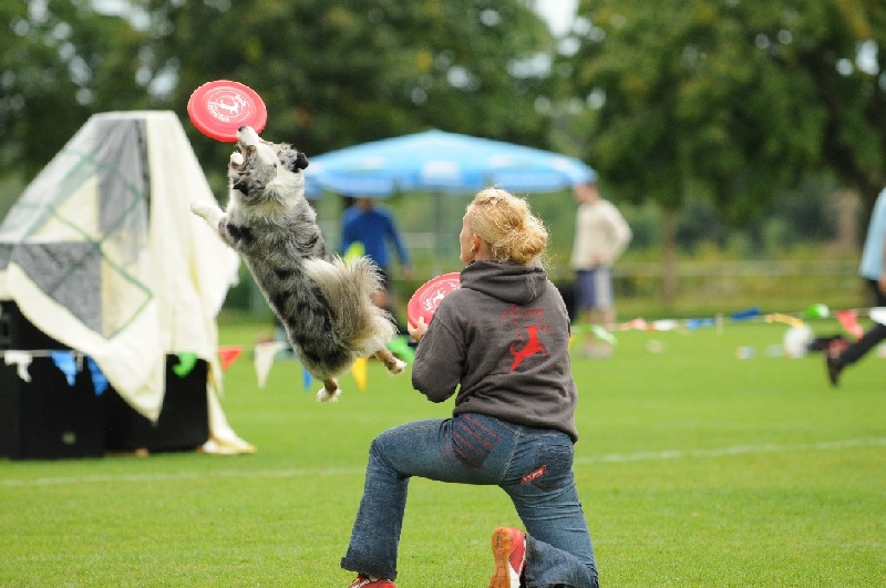 Image 367 of 855  -  221 kB