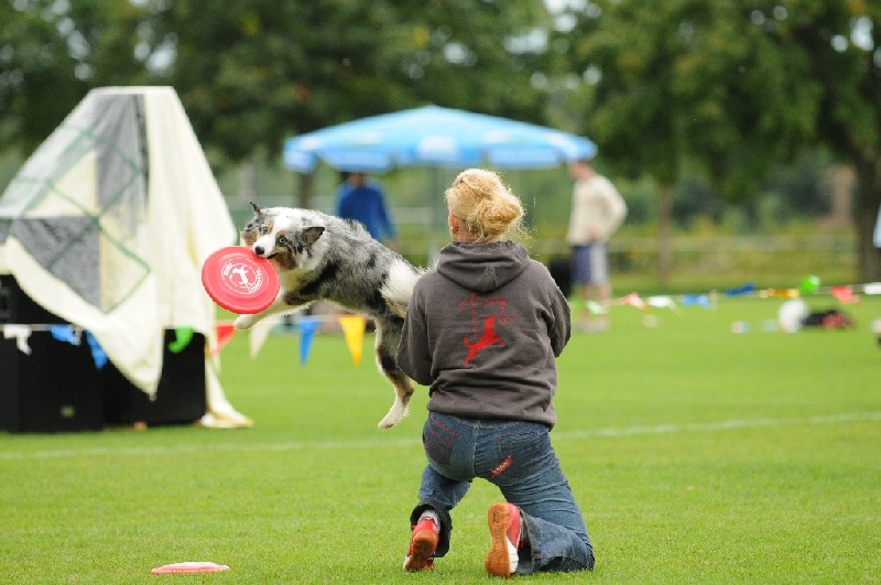 Image 368 of 855  -  219 kB