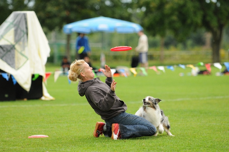 Image 369 of 855  -  217 kB