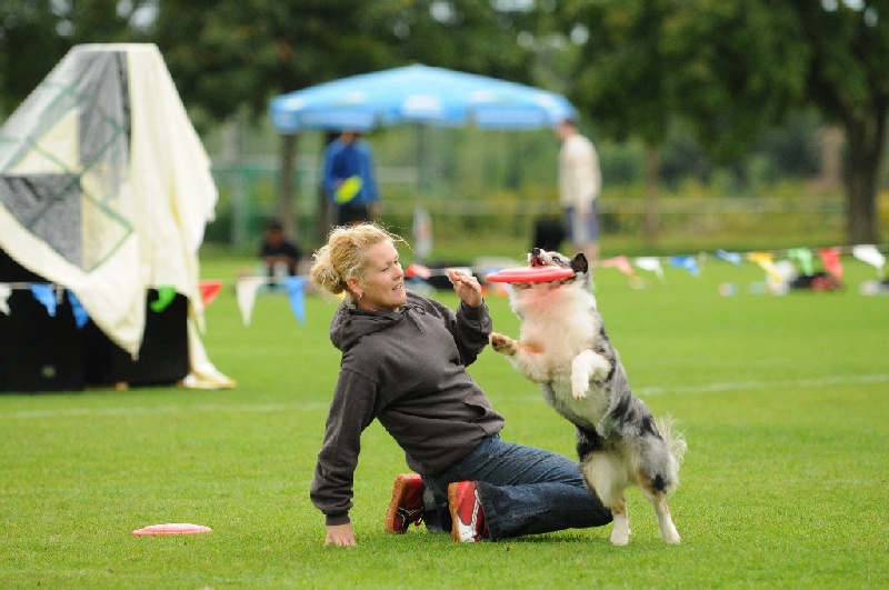 Image 370 of 855  -  220 kB