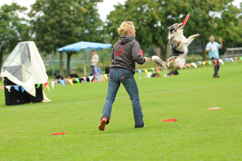 Image 371 of 855  -  243 kB