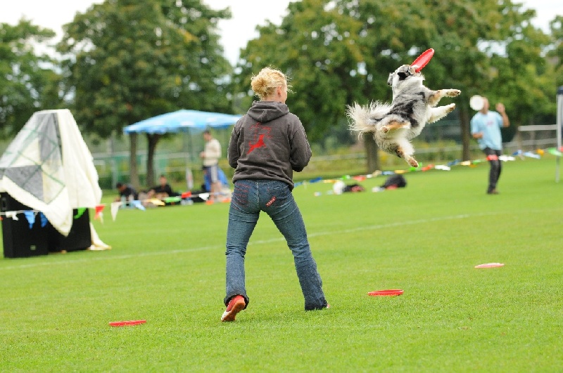 Image 372 of 855  -  242 kB