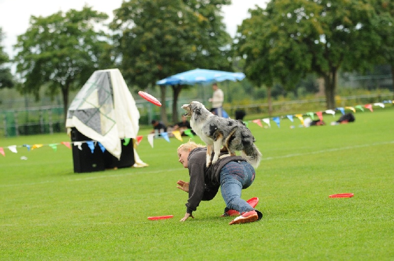 Image 373 of 855  -  241 kB