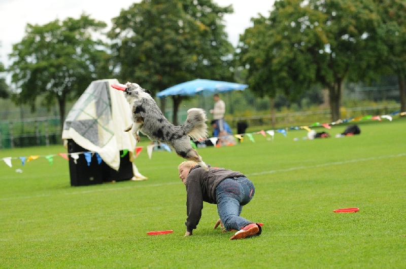 Image 374 of 855  -  239 kB