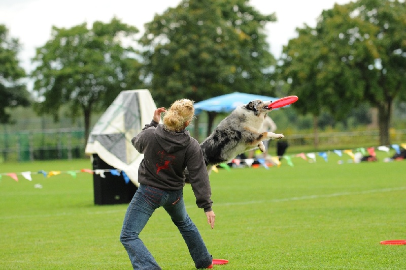 Image 375 of 855  -  223 kB