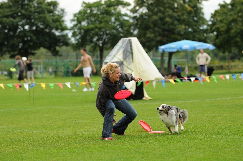 Image 376 of 855  -  242 kB