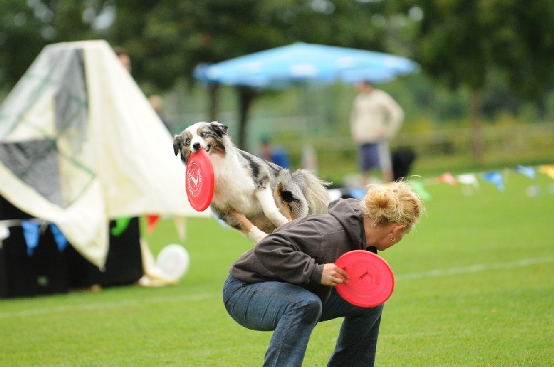 Image 378 of 855  -  197 kB