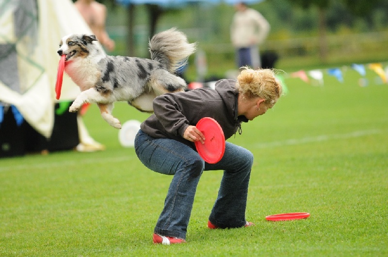 Image 379 of 855  -  220 kB