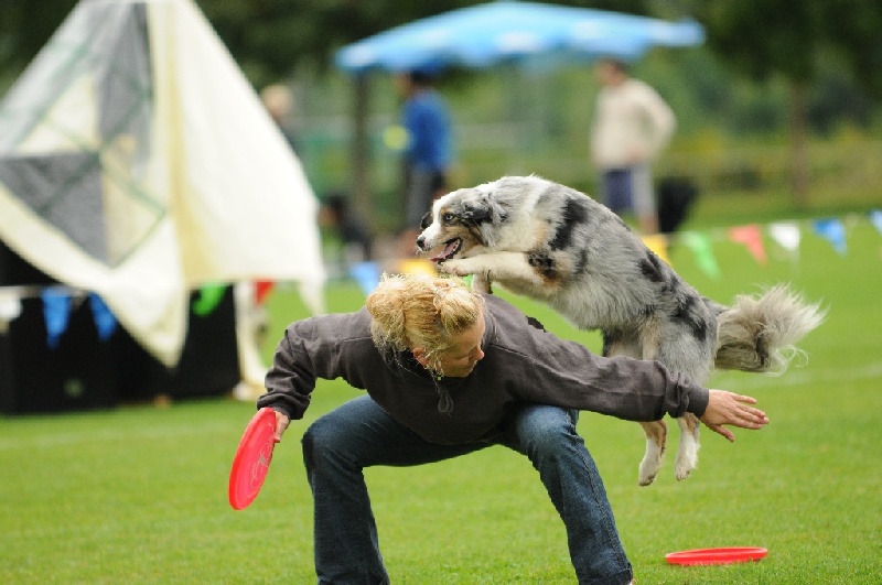 Image 380 of 855  -  203 kB