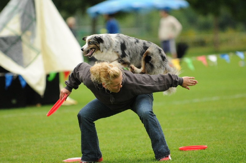 Image 381 of 855  -  207 kB