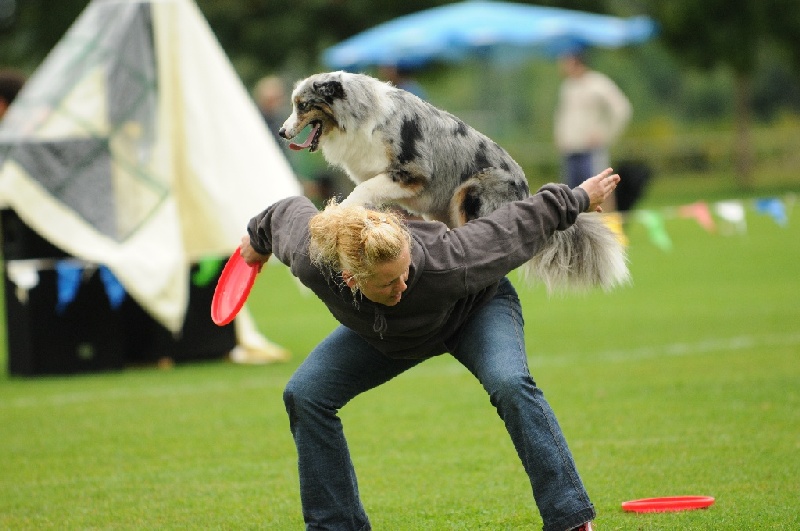 Image 382 of 855  -  202 kB