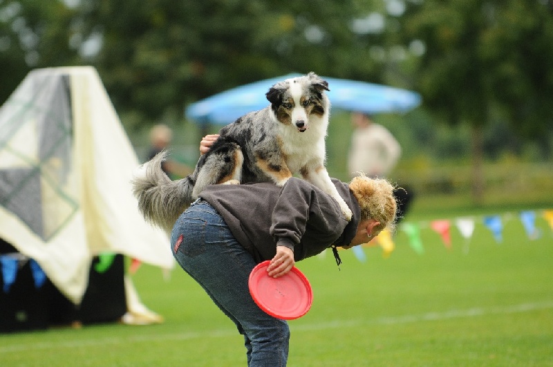 Image 383 of 855  -  198 kB