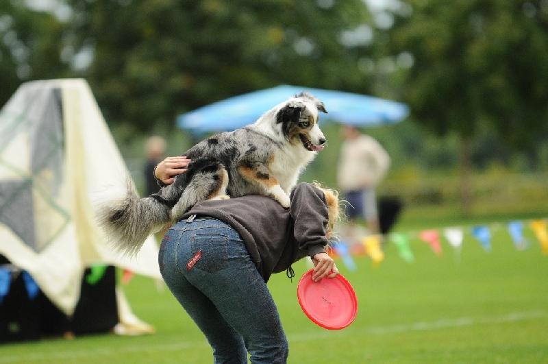 Image 384 of 855  -  200 kB