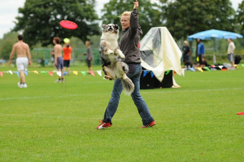 Image 385 of 855  -  239 kB