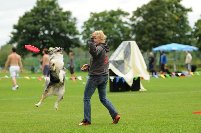 Image 386 of 855  -  224 kB