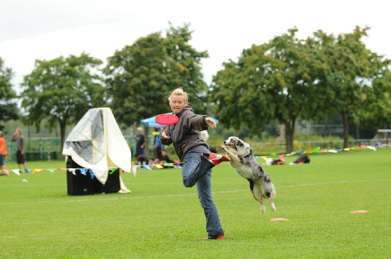 Image 387 of 855  -  229 kB