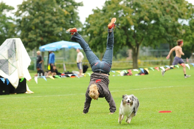 Image 388 of 855  -  243 kB