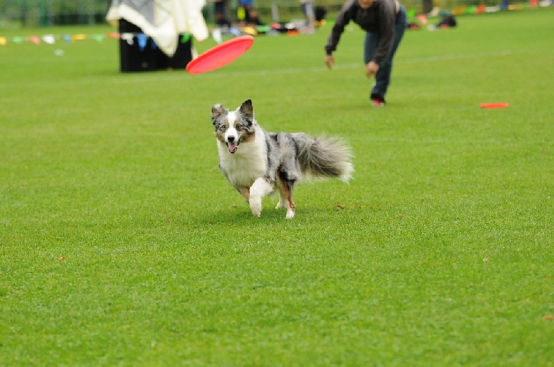 Image 389 of 855  -  226 kB