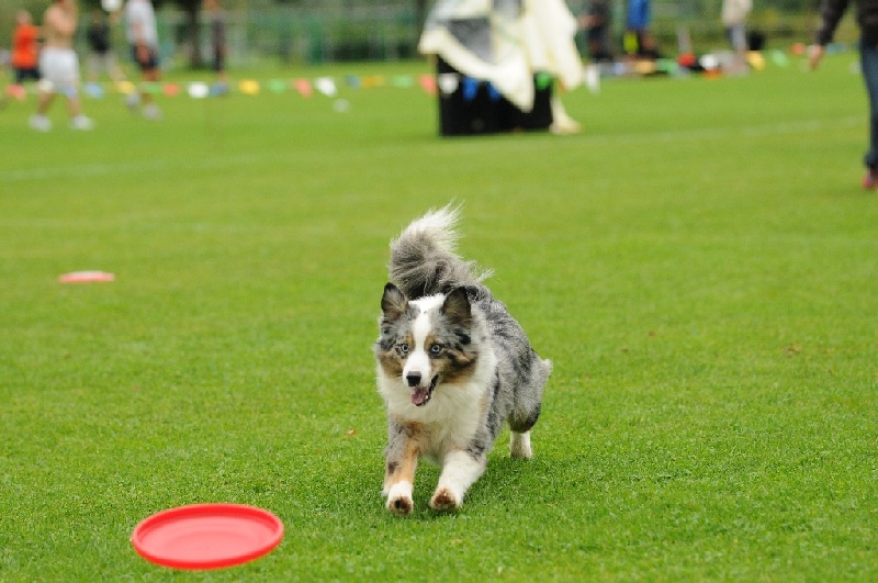 Image 390 of 855  -  220 kB