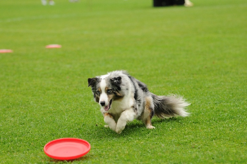 Image 391 of 855  -  219 kB