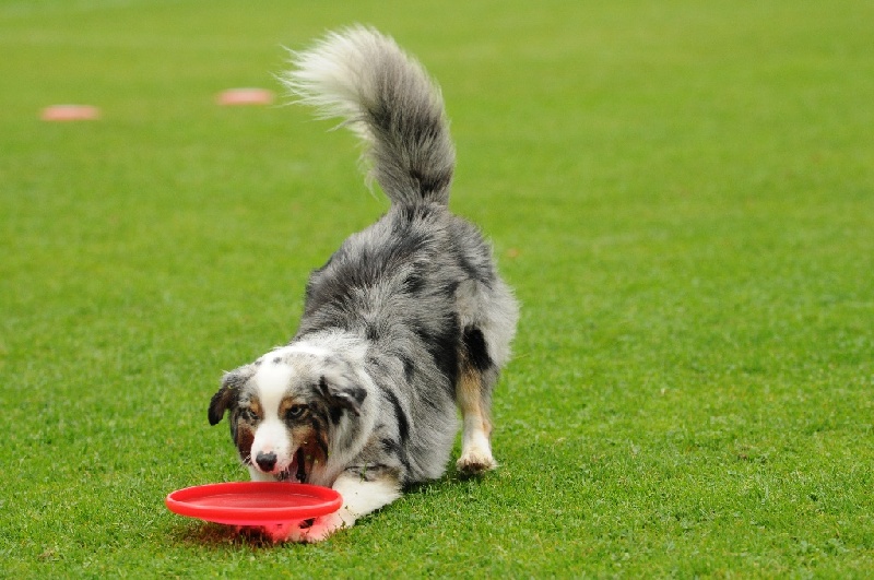 Image 392 of 855  -  230 kB