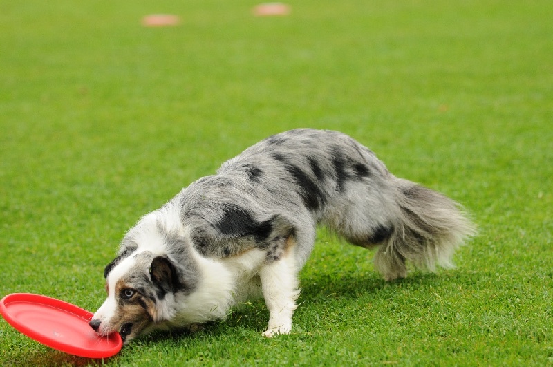 Image 393 of 855  -  225 kB