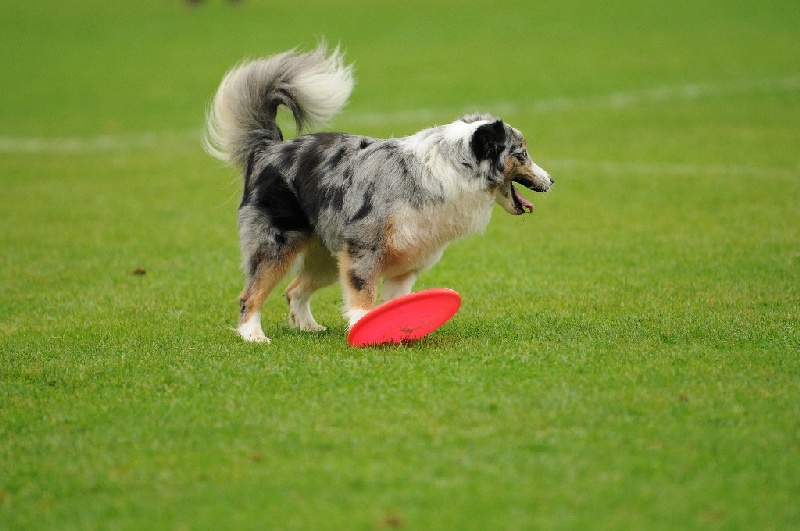 Image 394 of 855  -  209 kB