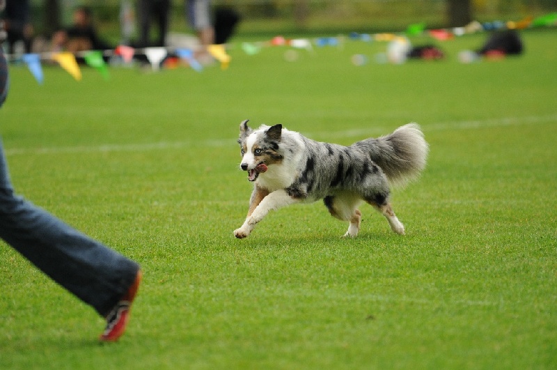 Image 395 of 855  -  208 kB