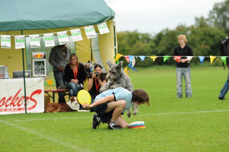 Image 396 of 855  -  231 kB