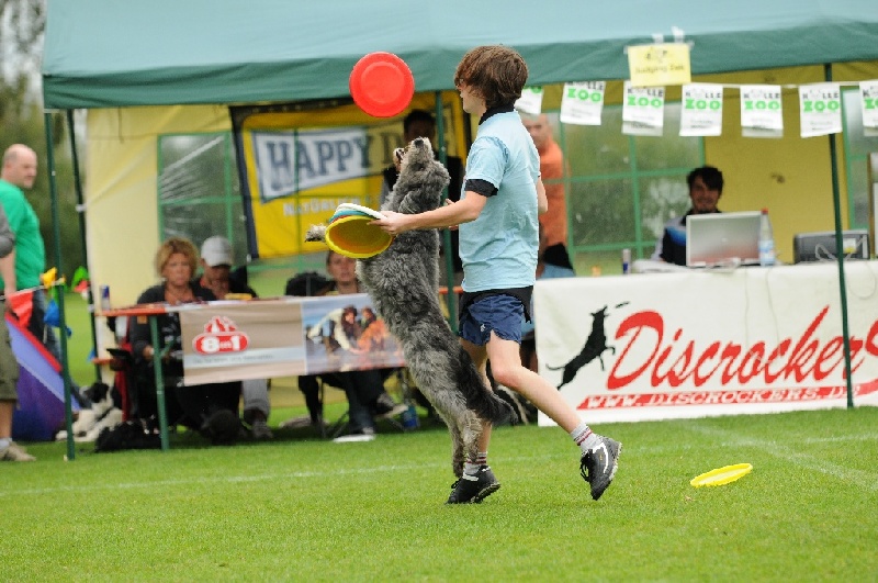 Image 397 of 855  -  245 kB