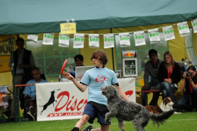 Image 398 of 855  -  224 kB