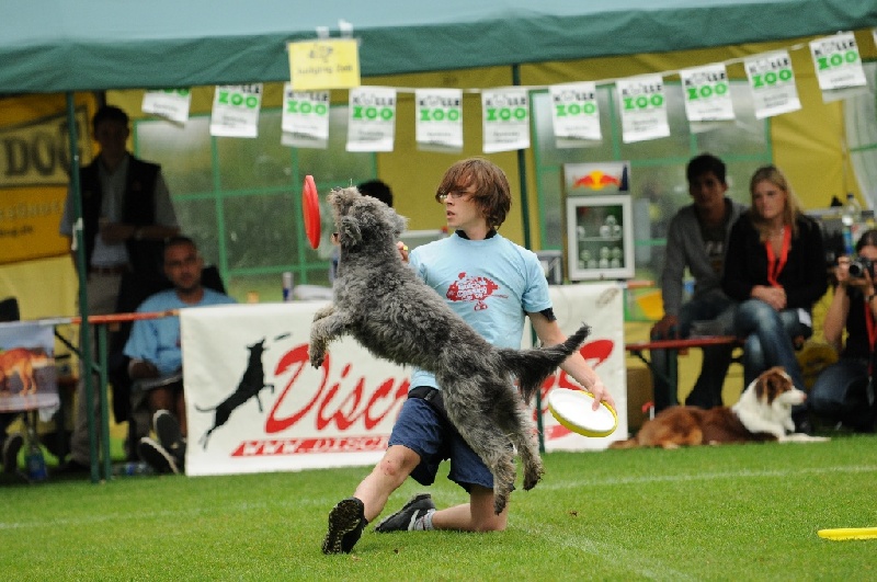 Image 399 of 855  -  243 kB