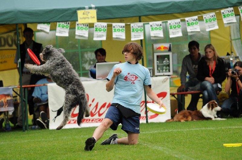 Image 400 of 855  -  252 kB