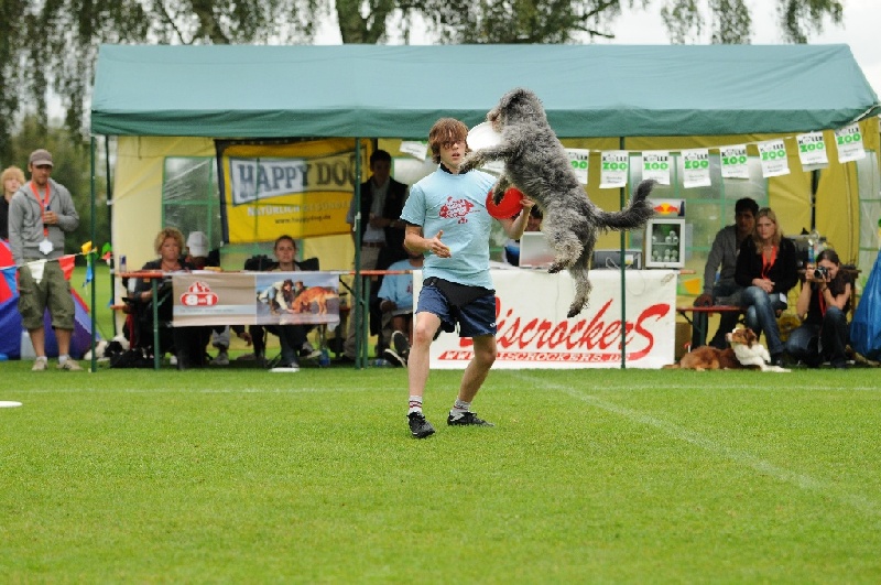 Image 401 of 855  -  263 kB