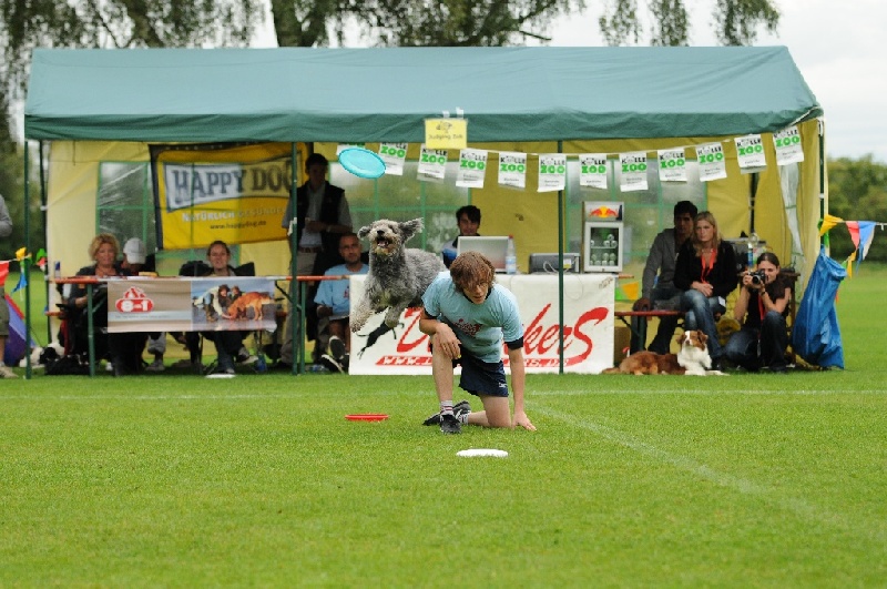 Image 402 of 855  -  258 kB