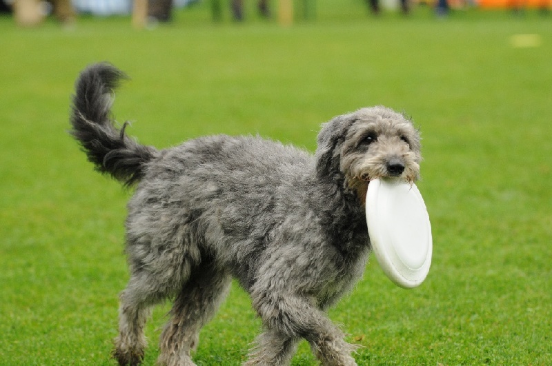 Image 403 of 855  -  211 kB