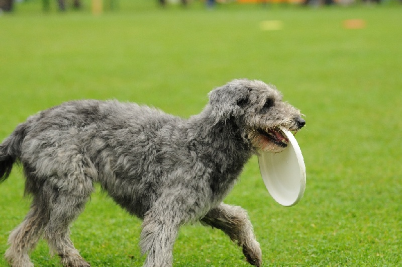 Image 404 of 855  -  212 kB