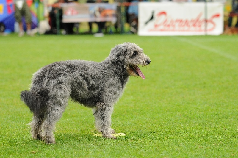 Image 405 of 855  -  236 kB