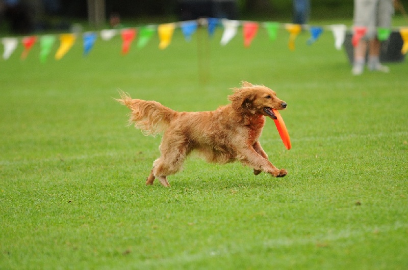 Image 406 of 855  -  204 kB