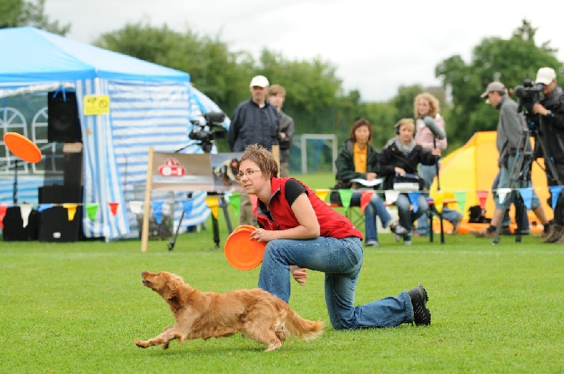 Image 407 of 855  -  239 kB