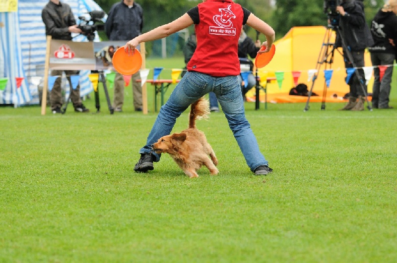 Image 409 of 855  -  246 kB