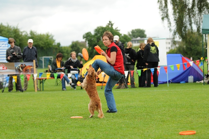 Image 410 of 855  -  243 kB