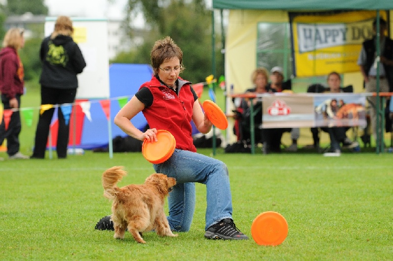 Image 411 of 855  -  235 kB