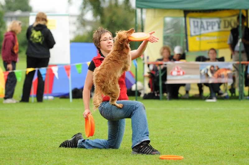 Image 412 of 855  -  235 kB