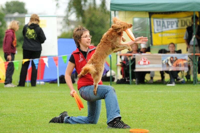 Image 413 of 855  -  235 kB